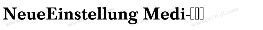 NeueEinstellung Medi字体转换